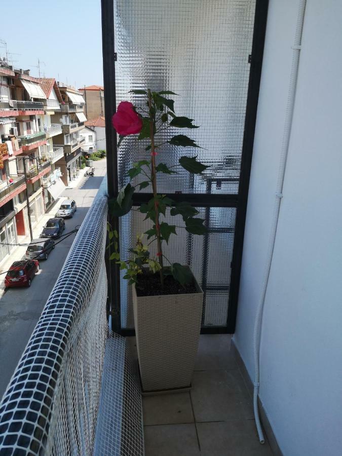 Appartamento Alexandros Aridaía Esterno foto